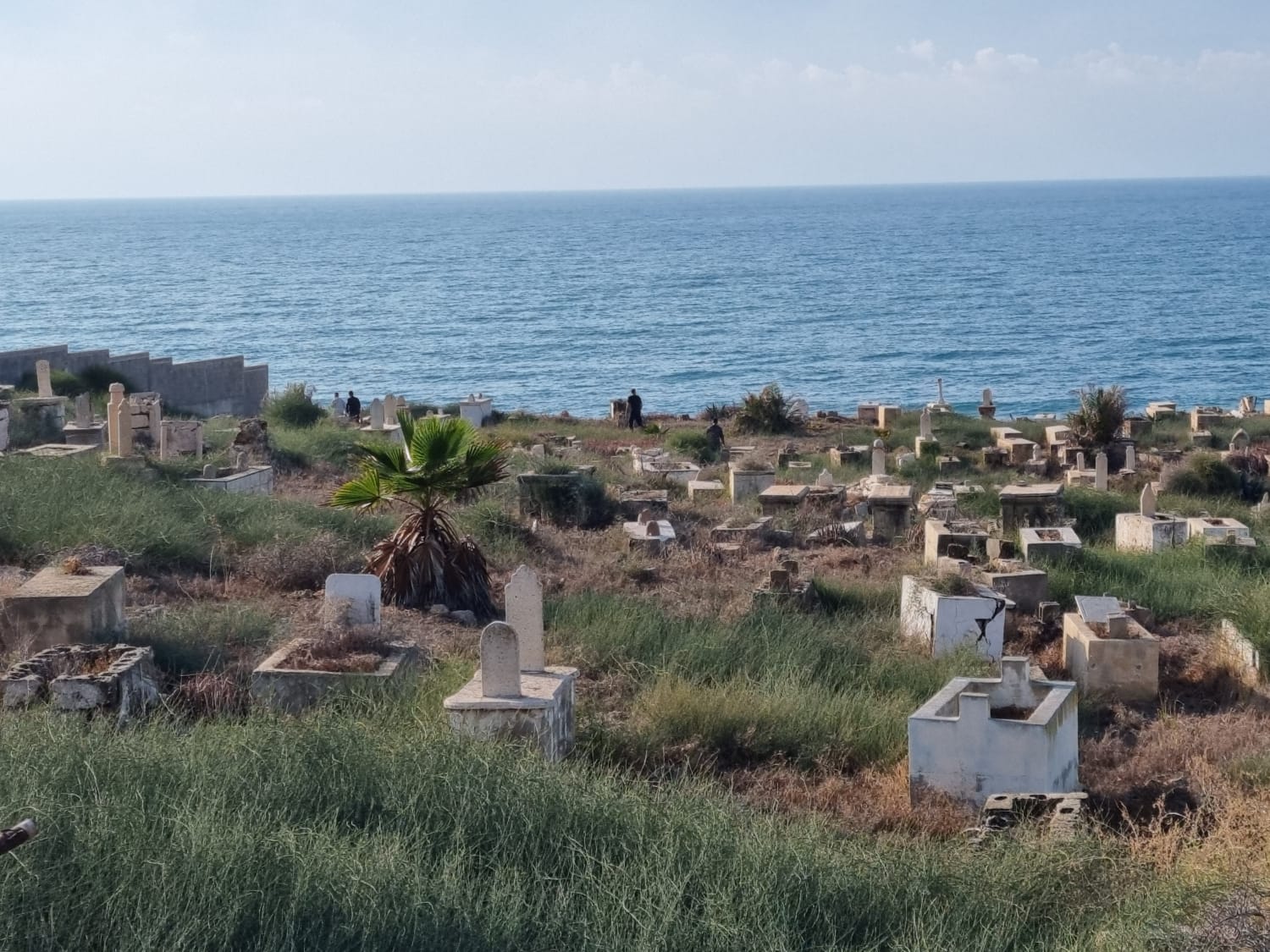 WhatsApp Image 2021-11-21 at 2.35.49 PM (1).jpeg